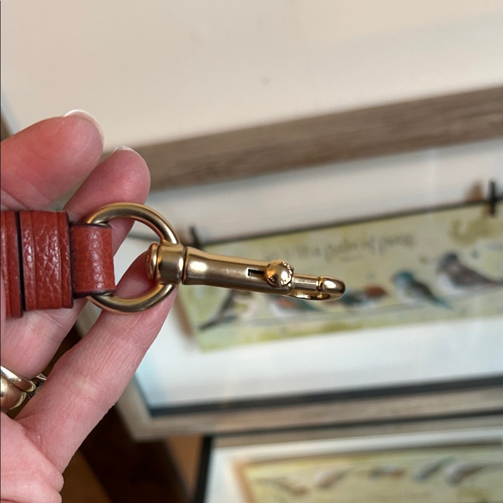 Coach Rust colored crossbody strap with Gold Hardware - Picture 9 of 13